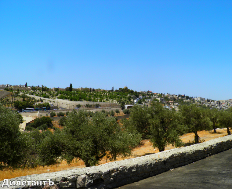 Вид на Иерусалим 