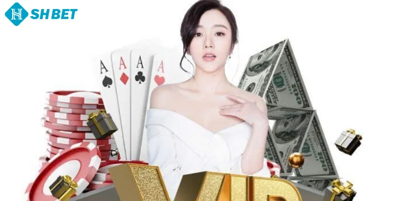 Lưu ý cần nắm khi trở thành thành viên VIP SHBET